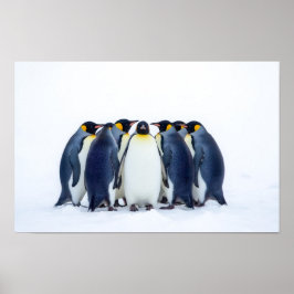 ペンギンの群れ ポスター