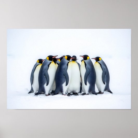 ペンギンの群れ ポスター (正面)