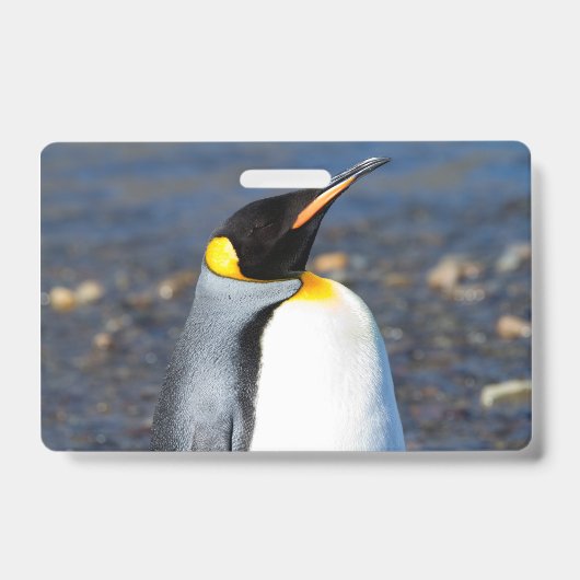 ペンギンの肖像 バッジ (正面)