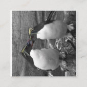 ペンギンの色あい エンクロージャーカード (裏面)