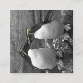 ペンギンの色あい エンクロージャーカード
