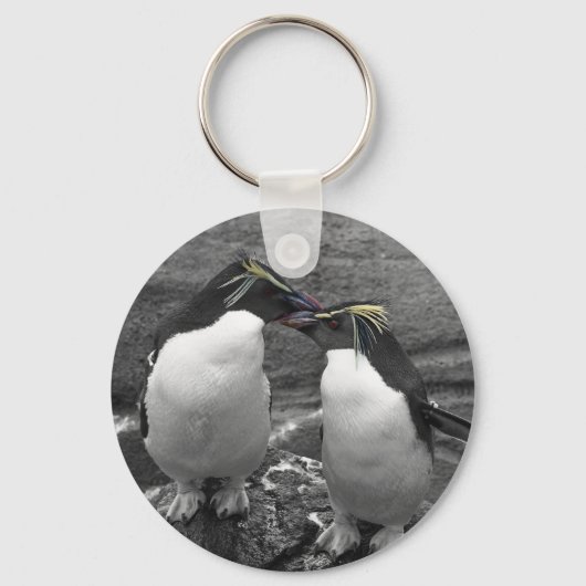 ペンギンの色あい キーホルダー (正面)
