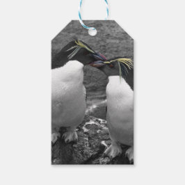 ペンギンの色あい ギフトタグ