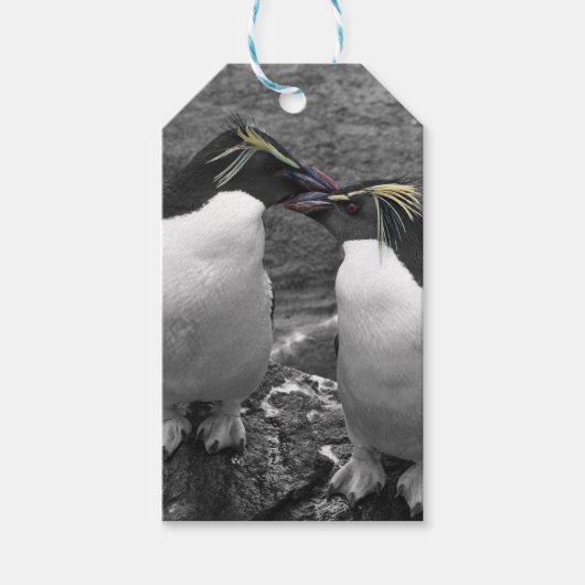ペンギンの色あい ギフトタグ (正面)