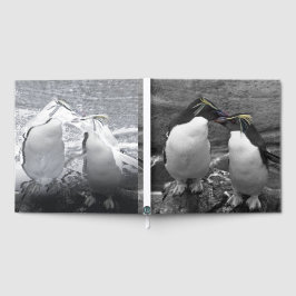 ペンギンの色あい ゲストブック