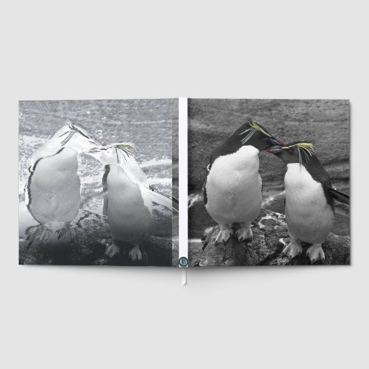 ペンギンの色あい ゲストブック (全面)