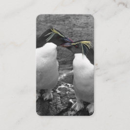 ペンギンの色あい 名刺