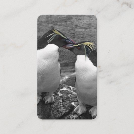 ペンギンの色あい 名刺 (正面)