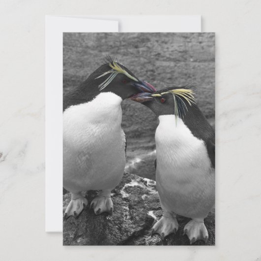 ペンギンの色あい 招待状 (正面)