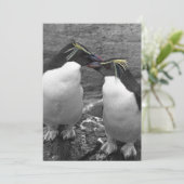 ペンギンの色あい 招待状 (スタンド正面)