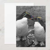 ペンギンの色あい 招待状 (正面/裏面)