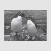 ペンギンの色あい