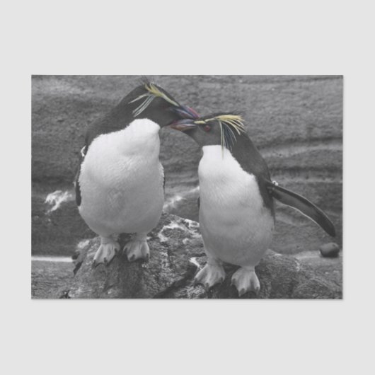ペンギンの色あい 薄葉紙 (正面)
