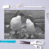 ペンギンの色あい 薄葉紙 (クラフト)