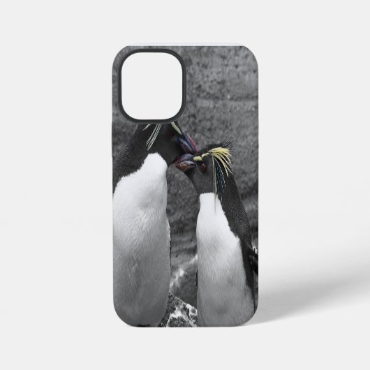 ペンギンの色あい iPhoneケース (裏面)