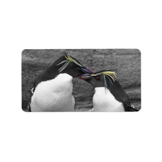ペンギンの色あふれる瞬間 ラベル (正面)