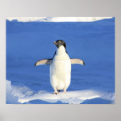 ペンギンの見せびらかし ポスター (正面)