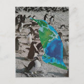 ペンギンの野生のコラージュ ポストカード (正面)