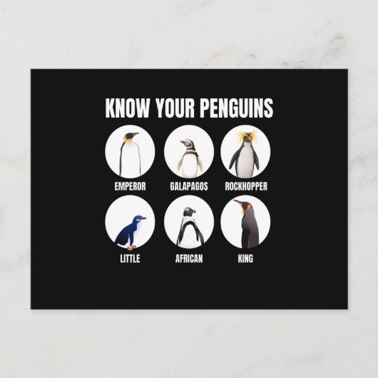 ペンギンの雪鳥を知っている ポストカード (正面)