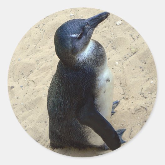 ペンギンを砂に乗せる ラウンドシール (正面)