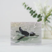 ペンギンを見て不機嫌が出ない!ポストカード ポストカード (スタンド正面)