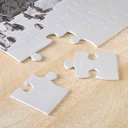 ペンギンを見る大きい石のビーチの観光客 ジグソーパズル (側面)