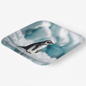 ペンギンオンアイスバーグ ペーパープレート (傾斜あり)