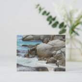 ペンギンオンザビーチ ポストカード (スタンド正面)