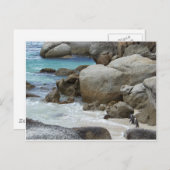 ペンギンオンザビーチ ポストカード (正面/裏面)