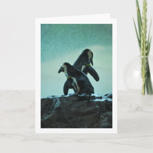 ペンギンオンロック カード (正面)