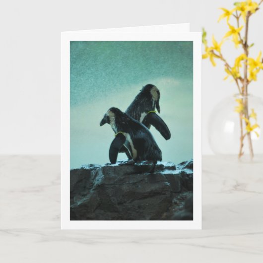 ペンギンオンロック カード (黄色い花)