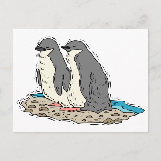 ペンギンカップルサンディビーチ ポストカード (正面)
