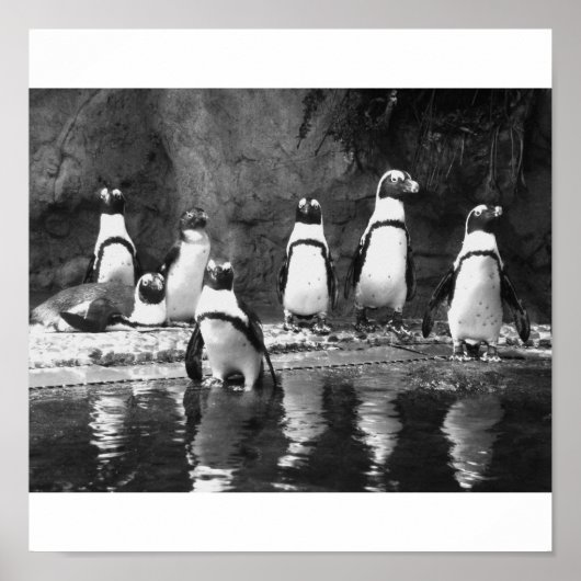 ペンギンガロール ポスター (正面)