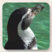ペンギンコースター コースター (正面)