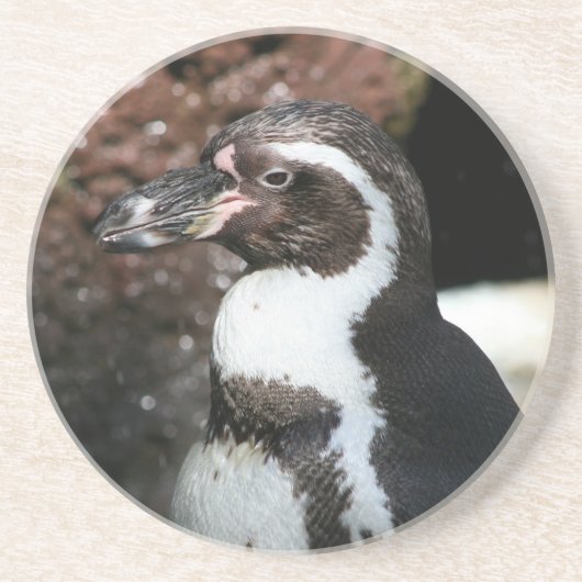 ペンギンコースター コースター (正面)