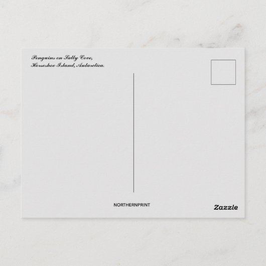 ペンギンサリーコーヴホースシューアイランドサクチュティカ ポストカード (裏面)