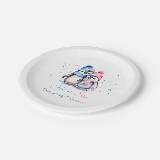 ペンギンジェンダーが冬の赤ちゃんシャワーを明らかにする ペーパープレート (アングル)