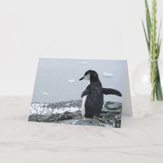 ペンギンジラ カード