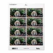 ペンギンスケッチ写真出荷ラベル ラベル (フルシート)