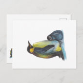 ペンギンスケッチ葉書 ポストカード (正面/裏面)