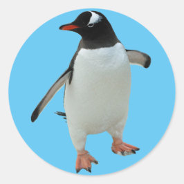 ペンギンステッカー ラウンドシール