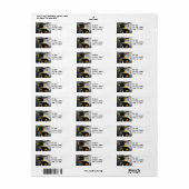 ペンギンス差出人住所ラベル ラベル (フルシート)