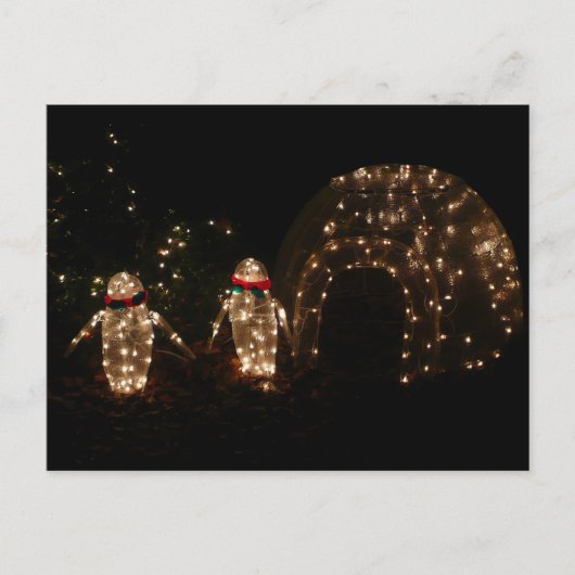 ペンギンズホリデーライトディスプレイ シーズンポストカード (正面)