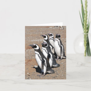 ペンギンハッピーバースデーの願い カード