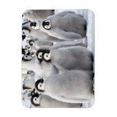 ペンギンパル マグネット (縦)