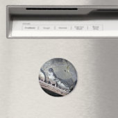 ペンギンパーチ マグネット (インサイチュ (食洗機))