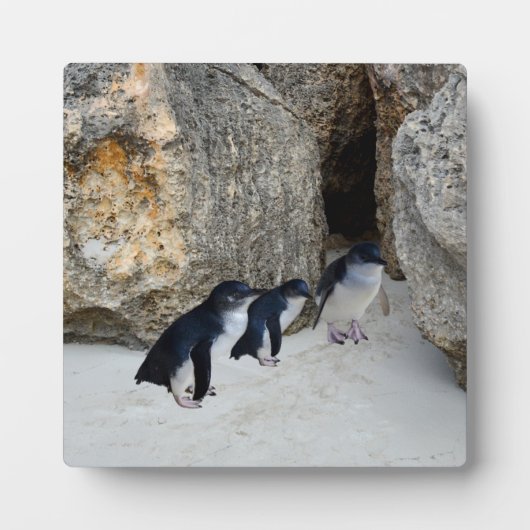 ペンギンビーチハウス フォトプラーク (正面)