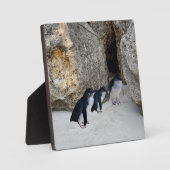 ペンギンビーチハウス フォトプラーク (正面)