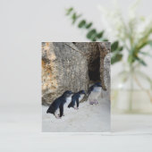 ペンギンビーチハウス, ポストカード (スタンド正面)