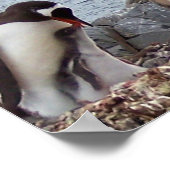 ペンギンファミリーポートレート ポスター (角)